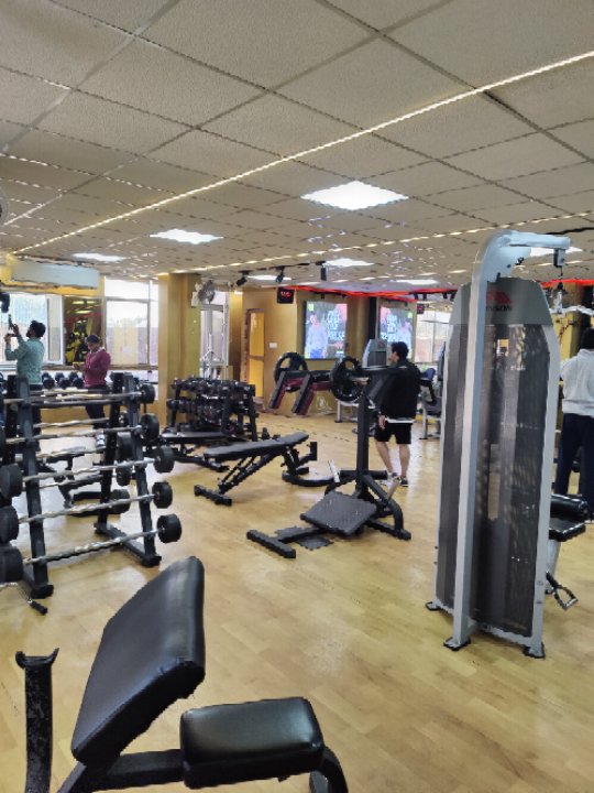Rehabilitation
