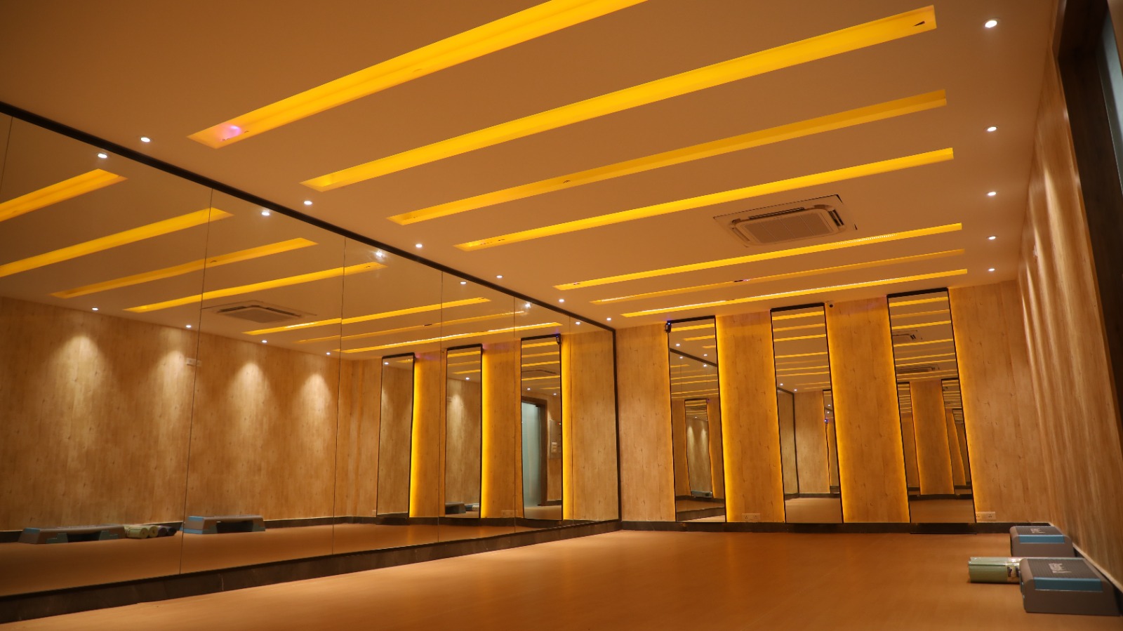 The Gimnasio