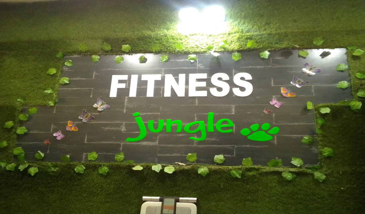 Fitness Jungle Gym 