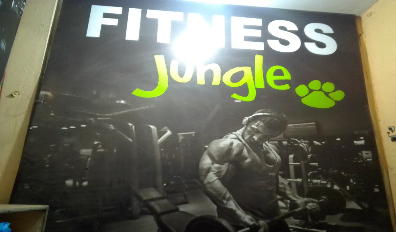 Fitness Jungle Gym 