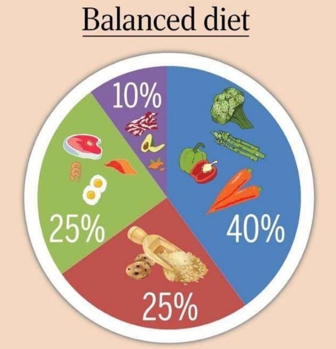Diet Chart