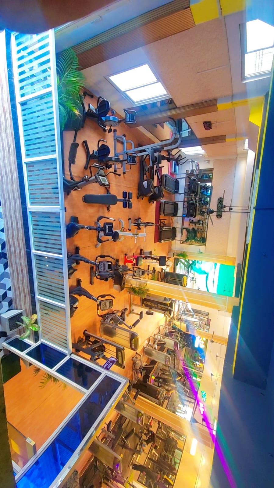 Golden Gym