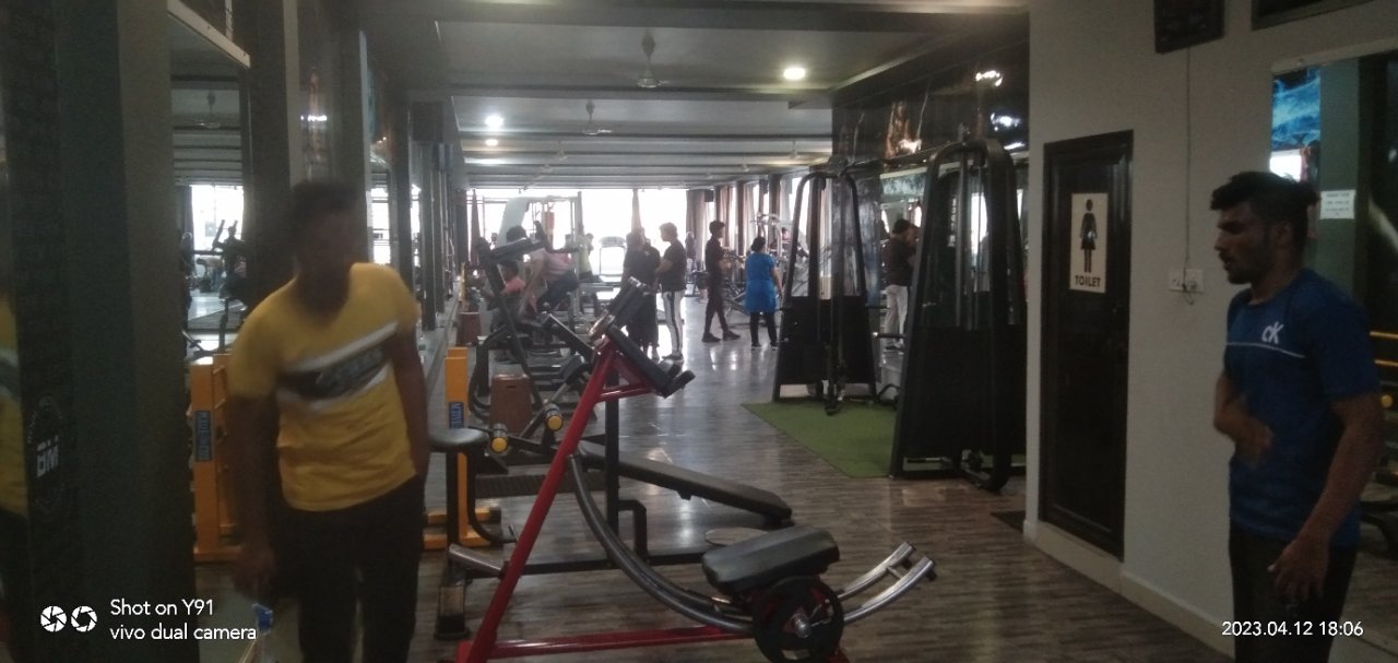 Body Mechanic Gym - Manglia