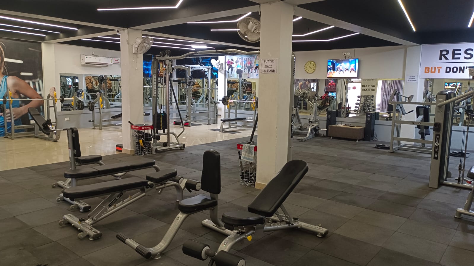 Gym City