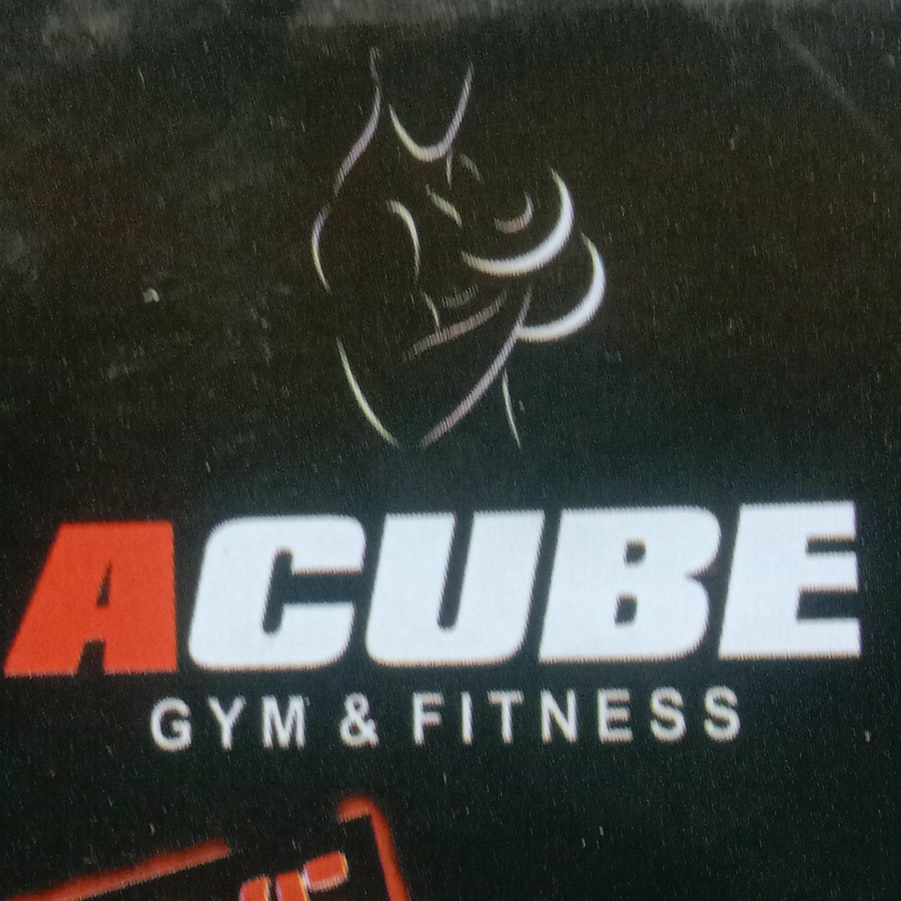 Fit Faat Logo