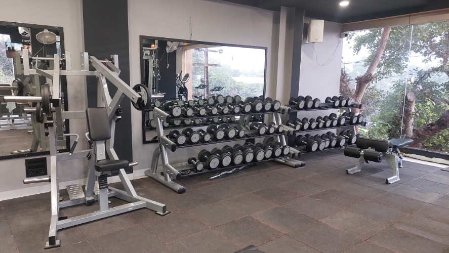 Well Fit Gym