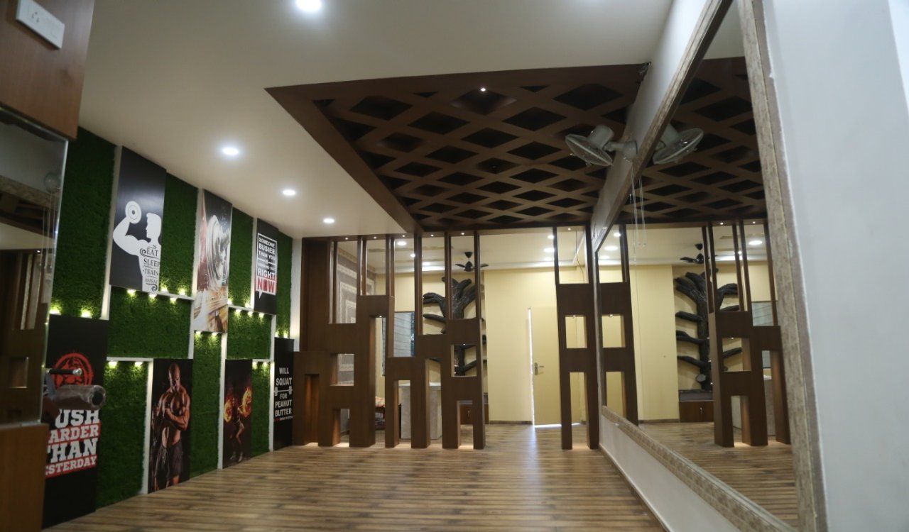 Fitness Jungle Gym 